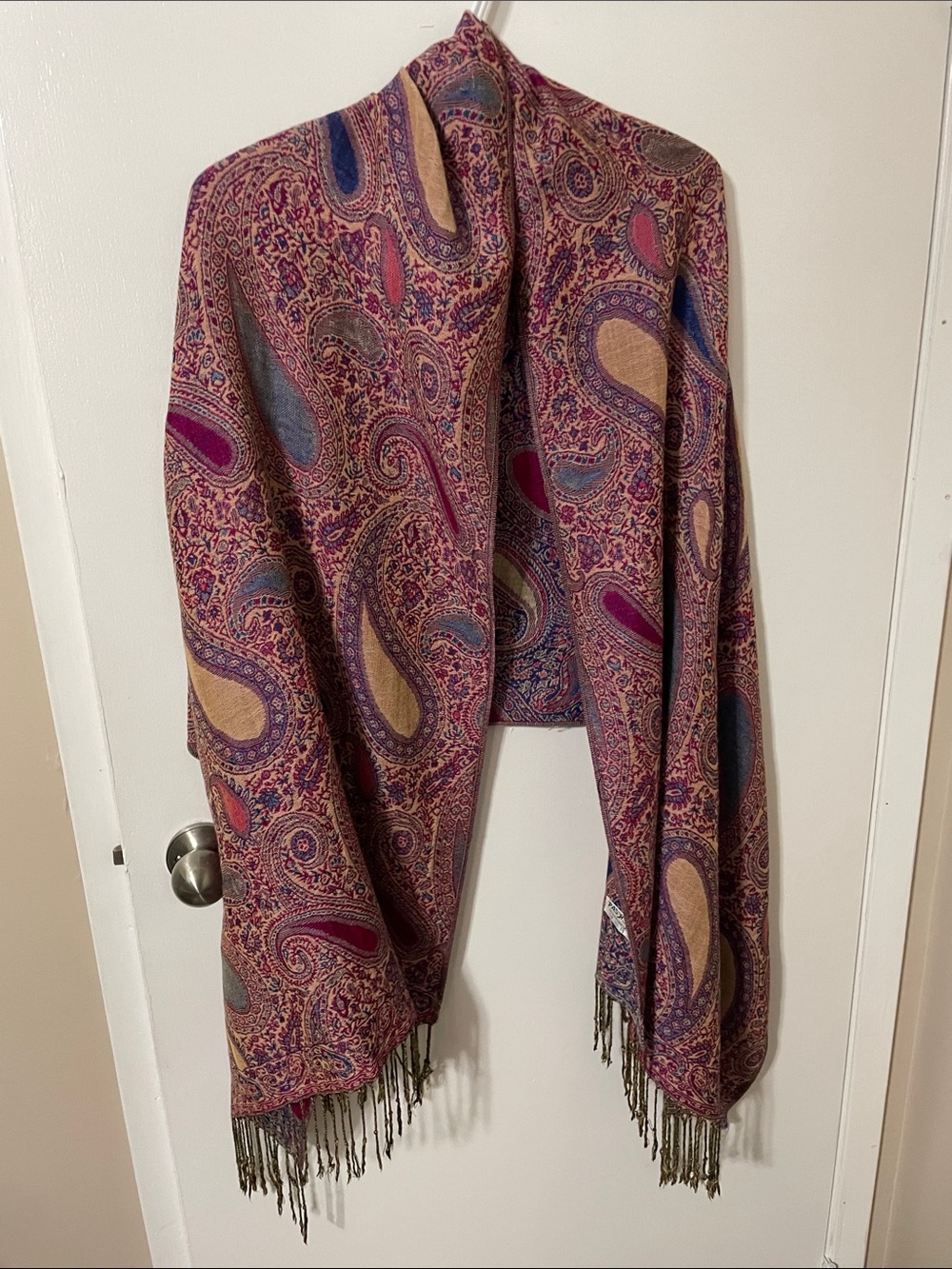 Pashmina Paisley Fringe Scarf